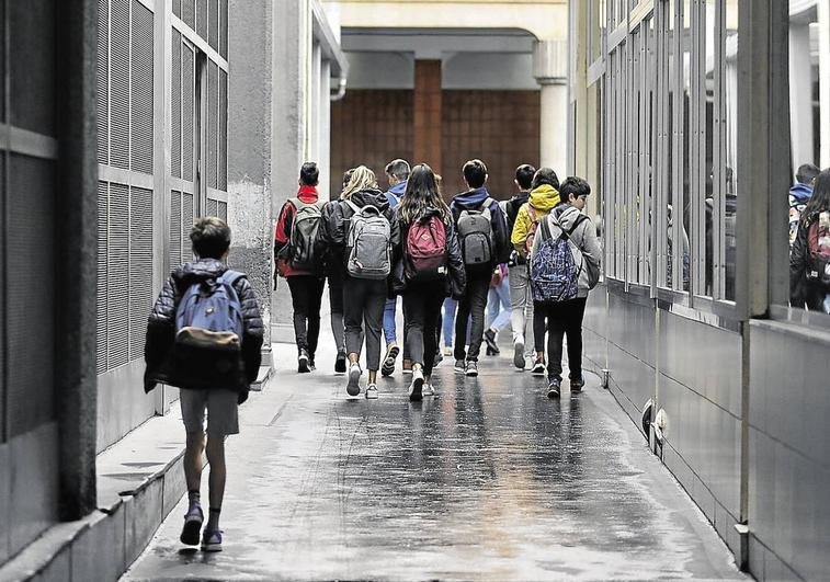 Euskadi perderá más de 65.000 alumnos en la próxima década